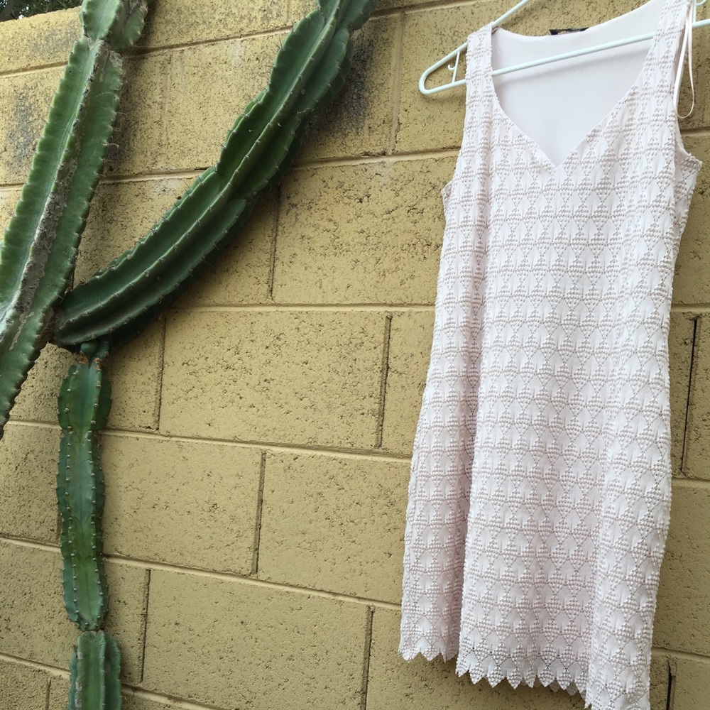 Zara Light Pink Lace Fitted Summer Shift Dress